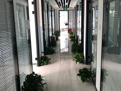 -新航道雅思托福·留学·考研培训(人民广场校区)