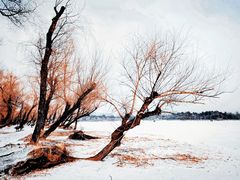 -长春市南湖公园