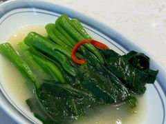 -点都德·毕德寮