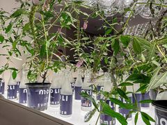 -茉里粤菜(皇姑万象汇店)