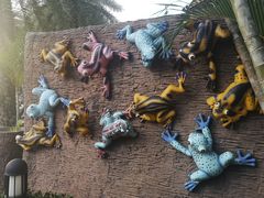 -清迈夜间动物园