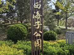 -西海子公园