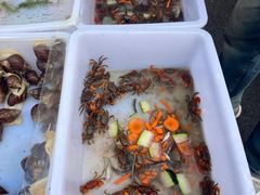 -哈尔滨道外花鸟鱼市场