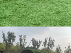 -爪吧宠物乐园·宠物泳池(温榆河示范区店)