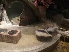 -zoonana室内动物园(东方福来德店)
