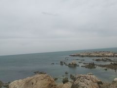 -养马岛旅游度假区