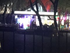 -枫花园汽车电影院(朝阳公园店)