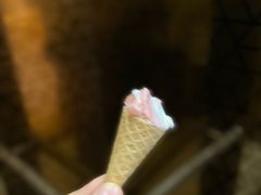 -极拉图·现制冰淇淋(梅溪湖新天地步步高店)