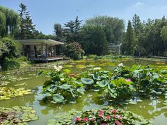 -国家植物园南园