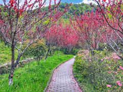 -姚家山旅游风景区
