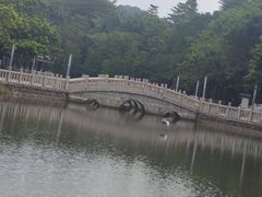 -福神岗公园