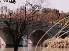 -三垟湿地