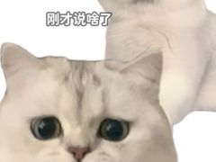 -大益茶庭(永庆坊店)