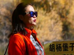 -金塔沙漠胡杨林景区