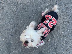 -北京恒爱动物医院(清景园分院)