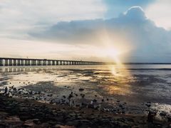 -宝安西湾红树林湿地公园