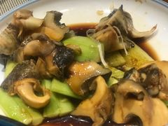 -新海渔港·胶东海鲜家常菜·家宴(奥体中心店)
