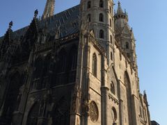 -斯蒂芬主教座堂(Stephansdom)