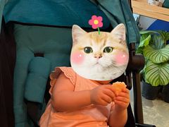 -Mesa Madre梅萨妈妈·Bintana(国贸店)