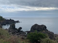 -涉地可支