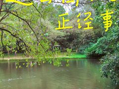 -中国科学院华南植物园