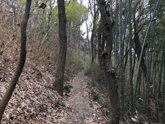 -上海佘山国家森林公园西佘山园