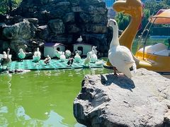 -团结湖公园