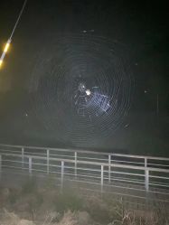 -Oasis Beauty水磨坊科技美肤中心