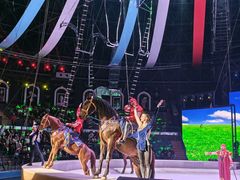 -泉城欧乐堡梦幻世界