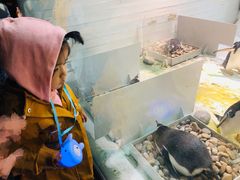 -大连圣亚海洋世界
