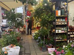 -溪岸路花鸟市场