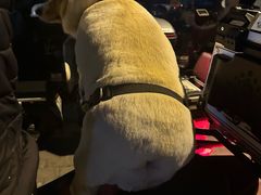 -纳吉亚猫专科动物医院·北北分院