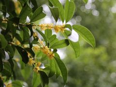 -苏州河梦清园环保主题公园