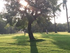 -东莞植物园