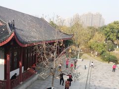 -堤角公园