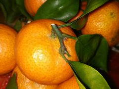 -百果园(愉景南苑店)