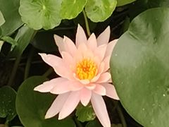 -成都市文化公园