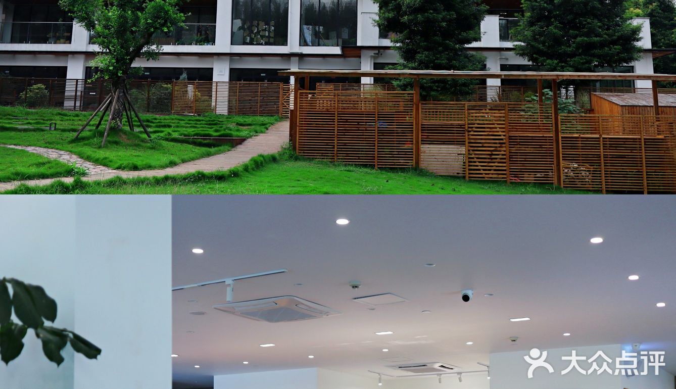 重庆遛娃 | 城市里的森林亲子咖啡馆🌲🍰☕️