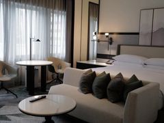 -新加坡乌节希尔顿酒店 (SG Clean)