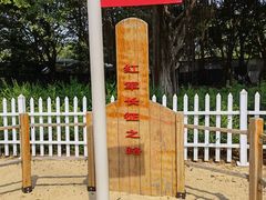 -广州长隆飞鸟乐园