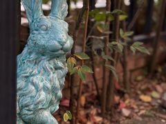 -又至园精品咖啡馆(将军塘店)