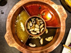 菌王奇香锅-滇釜火锅·能喝汤的火锅(车公庄店)