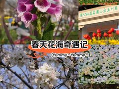 -苏州上方山国家森林公园