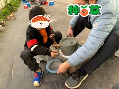 -前小桔亲子创意农场·草莓采摘·露营烧烤