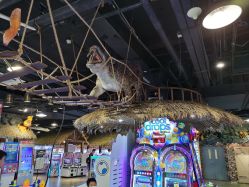 -卡通尼·Safari非洲探索乐园·生日会(金桥国际商业广场店)