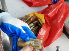 -渔人湾码头海鲜市场负二楼