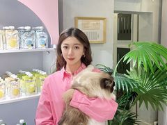 -青奢宠物·青奢猫舍