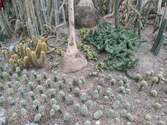 -南山植物园