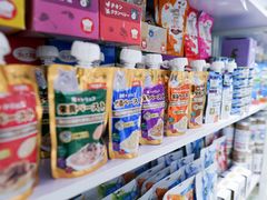 -喵的天空名猫咖啡馆·撸猫·猫舍·用品