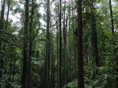 -波尔登森林公园